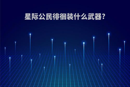 星际公民徘徊装什么武器?
