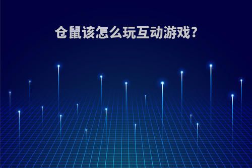 仓鼠该怎么玩互动游戏?