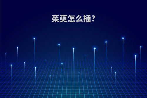茱萸怎么插?