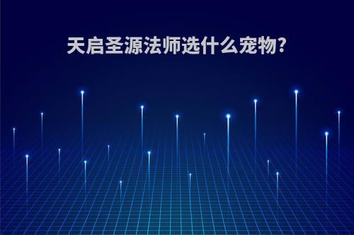 天启圣源法师选什么宠物?