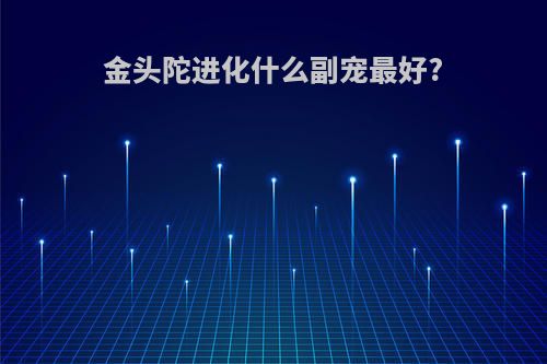 金头陀进化什么副宠最好?