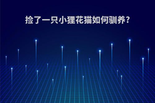 捡了一只小狸花猫如何驯养?