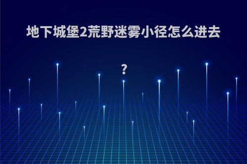 地下城堡2荒野迷雾小径怎么进去?