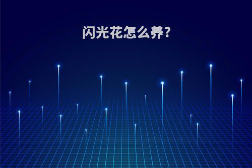 闪光花怎么养?