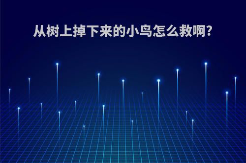 从树上掉下来的小鸟怎么救啊?