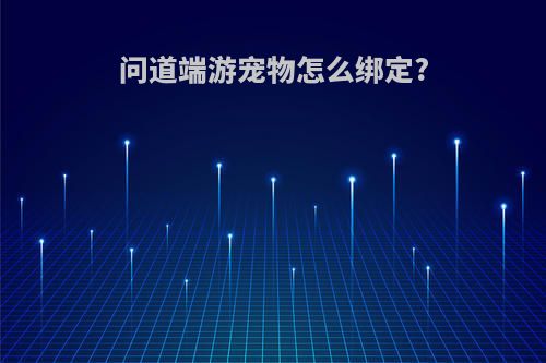 问道端游宠物怎么绑定?