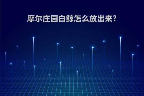 摩尔庄园白鲸怎么放出来?
