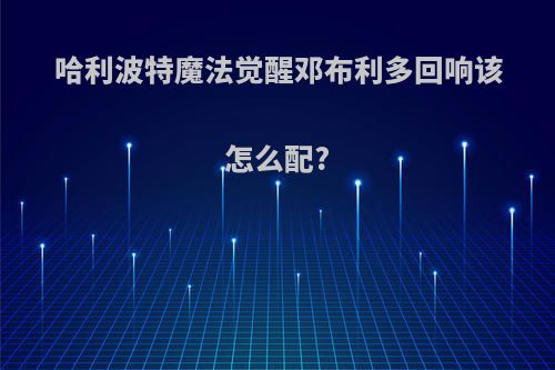 哈利波特魔法觉醒邓布利多回响该怎么配?
