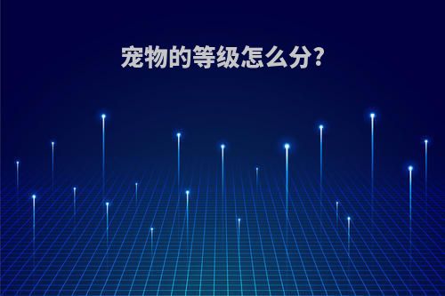 宠物的等级怎么分?