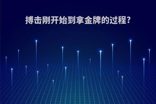 搏击刚开始到拿金牌的过程?