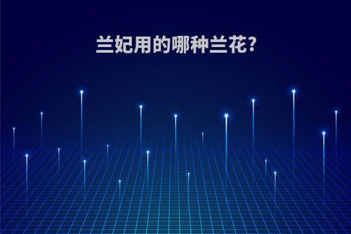 兰妃用的哪种兰花?
