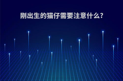 刚出生的猫仔需要注意什么?