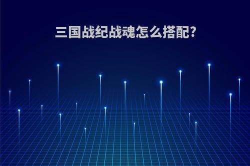 三国战纪战魂怎么搭配?
