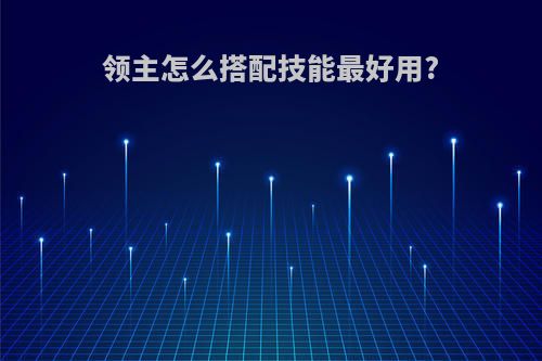 领主怎么搭配技能最好用?