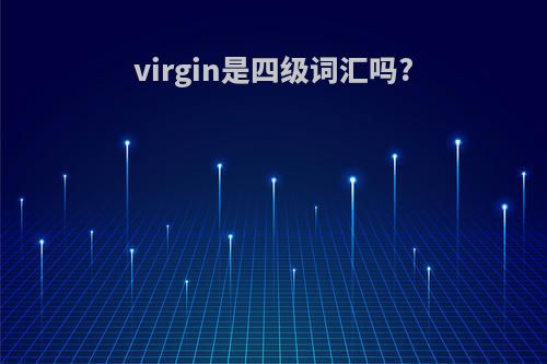 virgin是四级词汇吗?
