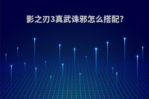 影之刃3真武诛邪怎么搭配?