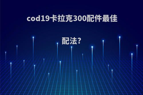 cod19卡拉克300配件最佳配法?